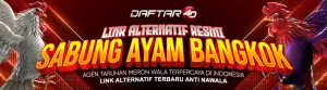 Link Alternatif Resmi Terbaru Agen Club388 Sabung Ayam Bangkok Bonus 100% Bebas Arena.